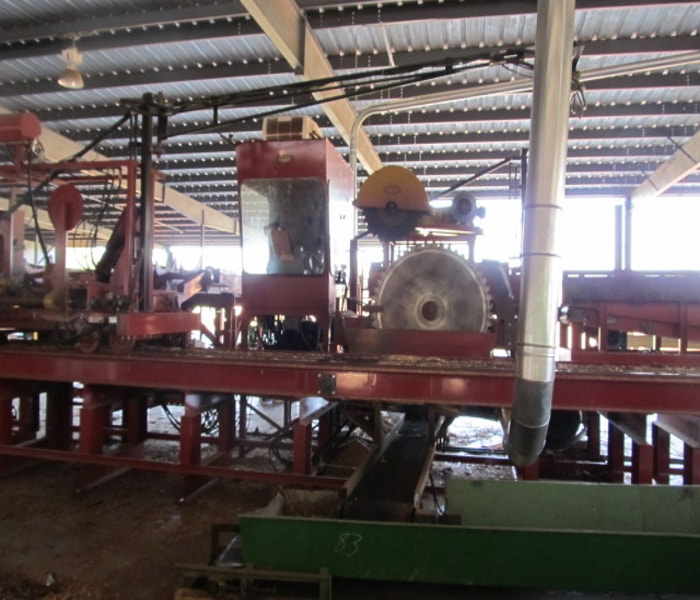 Cypress Processing Saw